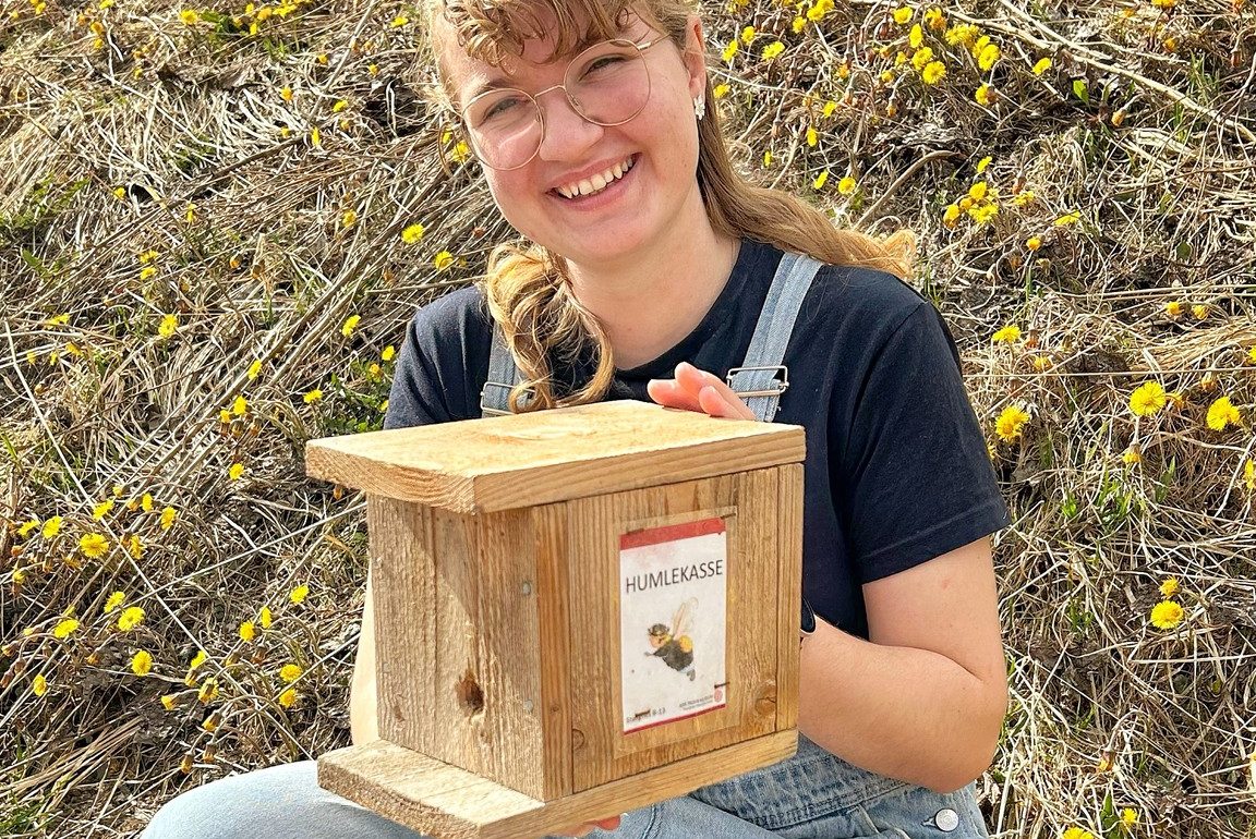 Humlekasse